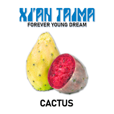 Ароматизатор Xian - Cactus (Кактус), 1л XT019