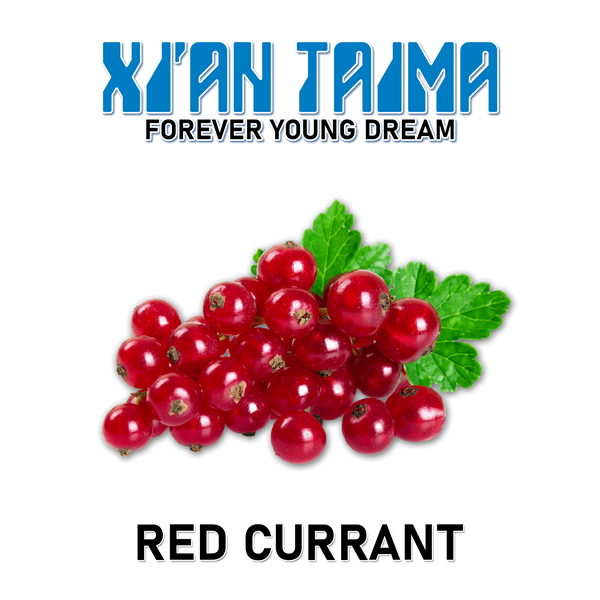 Ароматизатор Xian - Red Currant (Червона смородина), 5 мл XT091