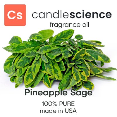 Аромаолія CandleScience - Pineapple Sage (Шавлія ананасова), 5 мл CS047