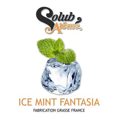 Ароматизатор Solub Arome - Ice mint fantasia (Мята, ментол и кулер), 10 мл SA070