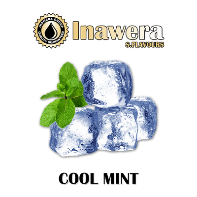 Ароматизатор Inawera S - Cool Mint (Мята), 30 мл INW109